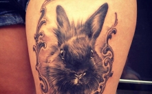 romy_06